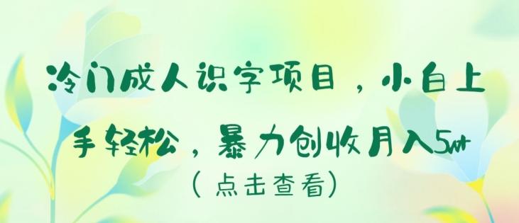 冷门成人识字项目，小白上手轻松，暴力创收月入5w+【揭秘】-闲赋网