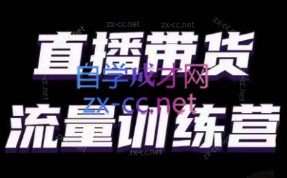 婉婉·直播带货课程系列合集(更新8月)-闲赋网