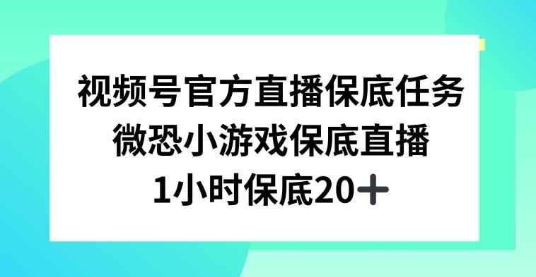 视频号直播任务，微恐小游戏，1小时20+【揭秘】-闲赋网