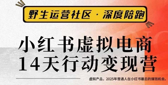 小红书虚拟电商14天变现训练营3.0，​虚拟产品，2025年普通人在小红书最后的搞钱机会-闲赋网