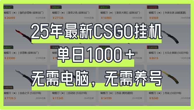 25年最新CSGO挂机系统，单日1000+，无需电脑，无需养号，0基础可上手-闲赋网