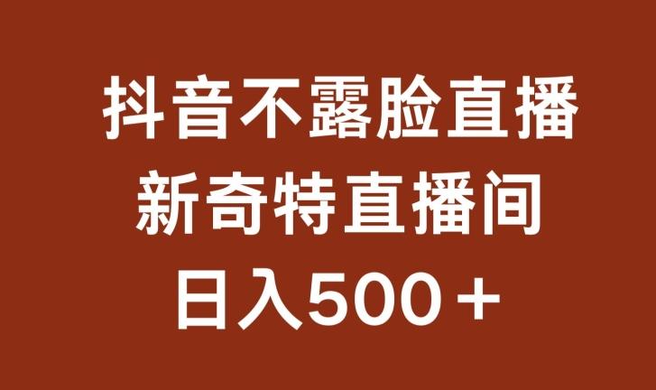 不露脸挂机直播，新奇特直播间，日入500+【揭秘】-闲赋网