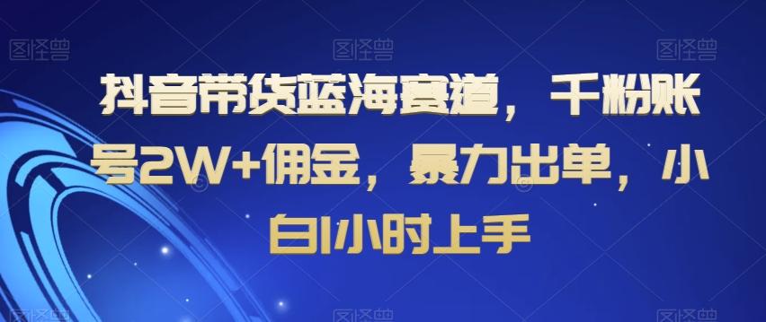 抖音带货蓝海赛道，千粉账号2W+佣金，暴力出单，小白1小时上手【揭秘】-闲赋网