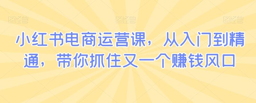 小红书电商运营课，从入门到精通，带你抓住又一个赚钱风口-闲赋网