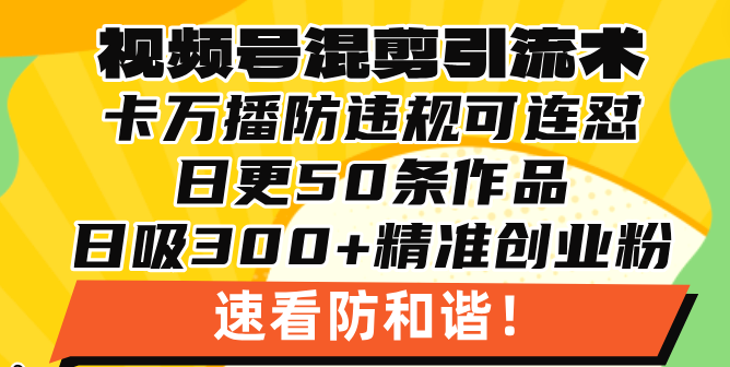 视频号混剪引流技术，500万播放引流17000创业粉，操作简单当天学会-闲赋网