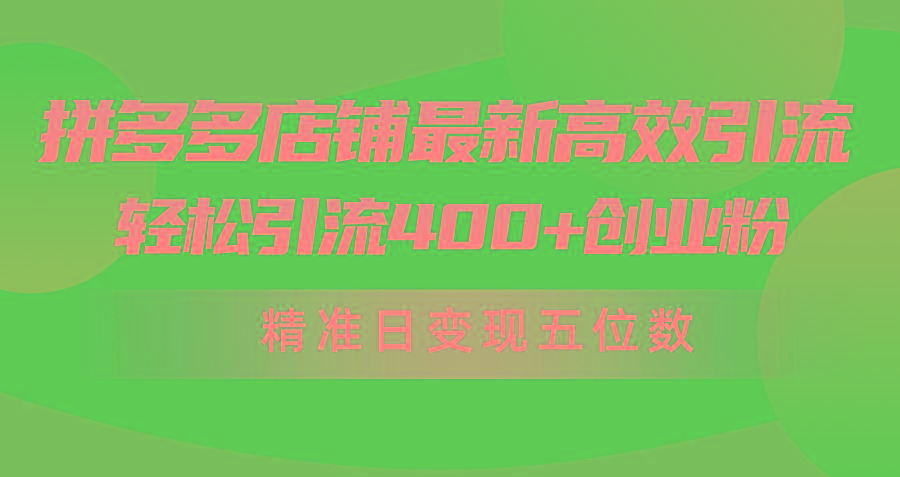 (10041期)拼多多店铺最新高效引流术，轻松引流400+创业粉，精准日变现五位数！-闲赋网