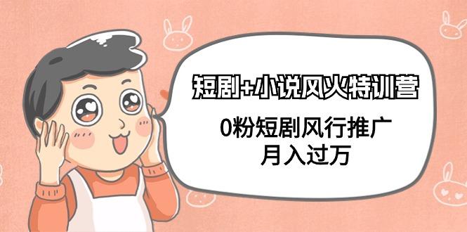 (9374期)短剧+小说风火特训营，0粉短剧风行推广，月入过万(102节课)-闲赋网
