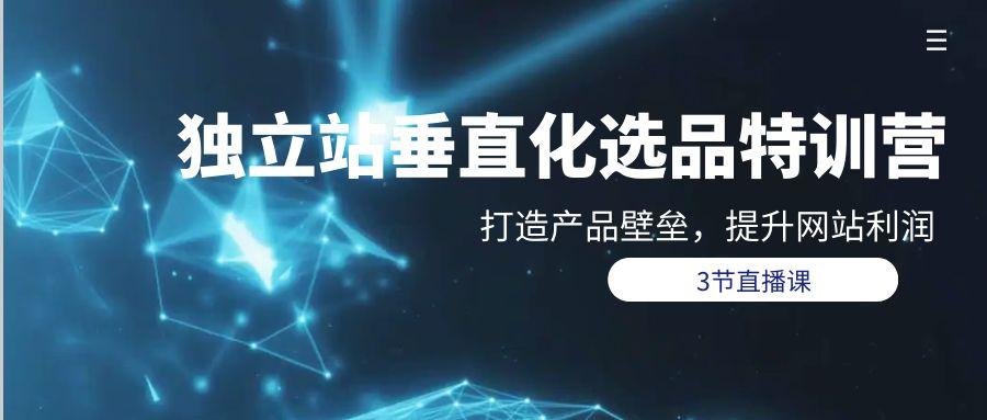 (9925期)独立站-垂直化选品训练营，打造产品壁垒，提升网站利润(3节直播课)-闲赋网