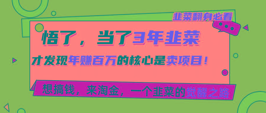 悟了，当了3年韭菜，才发现网赚圈年赚100万的核心是卖项目，含泪分享！-闲赋网