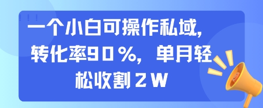 一个小白可操作私域，转化率90%，单月轻松收割2W-闲赋网