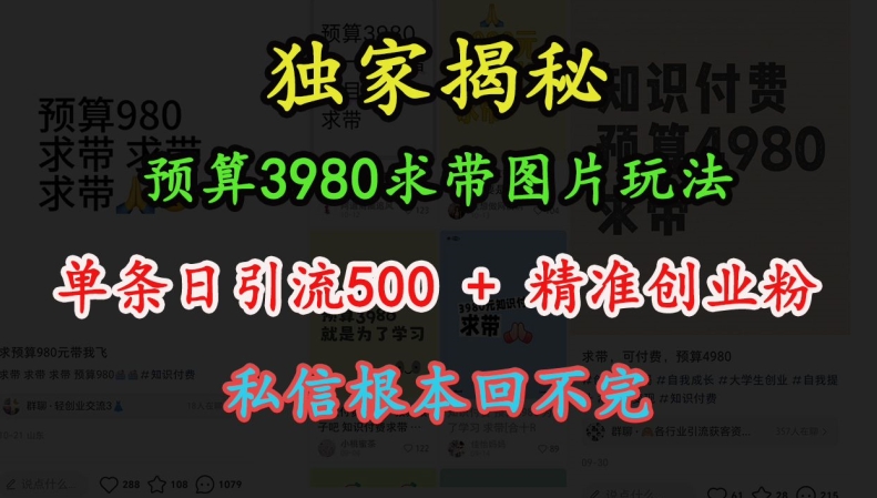 预算3980求带 图片玩法，单条日引流500+精准创业粉，私信根本回不完-闲赋网