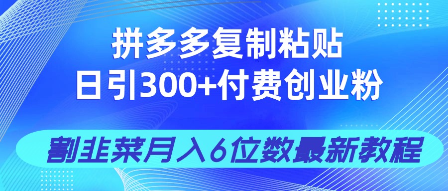 拼多多复制粘贴日引300+付费创业粉，割韭菜月入6位数最新教程！-闲赋网