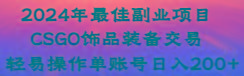 2024年最佳副业项目 CSGO饰品装备交易 轻易操作单账号日入200+-闲赋网