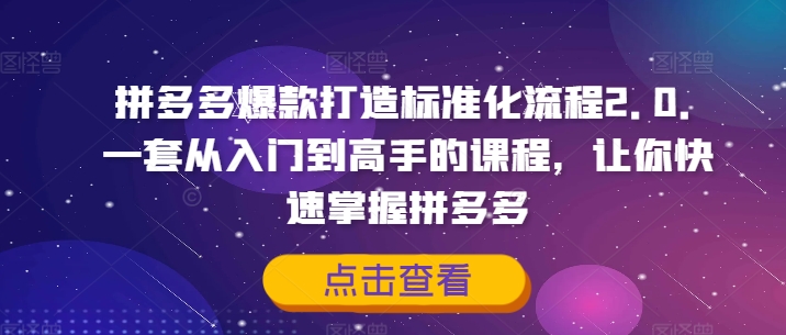 拼多多爆款打造标准化流程2.0，一套从入门到高手的课程，让你快速掌握拼多多-闲赋网