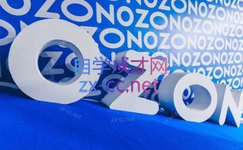 森哥·出海俄罗斯电商实操(2024)-闲赋网