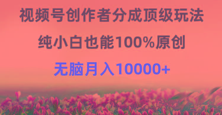 (9608期)视频号创作者分成顶级玩法，纯小白也能100%原创，无脑月入10000+-闲赋网