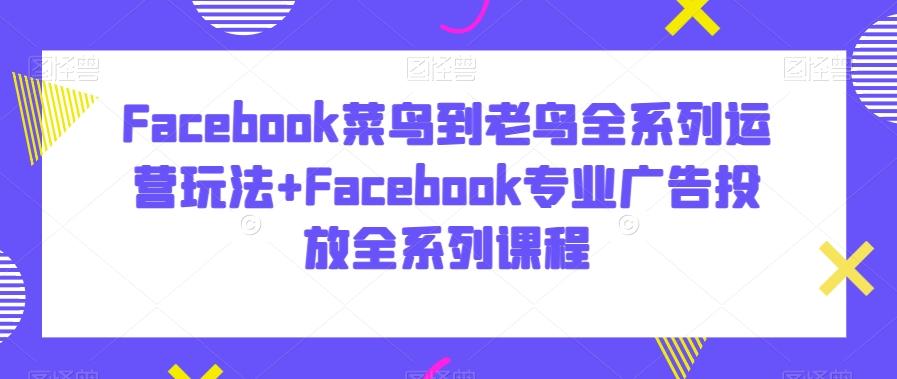 Facebook菜鸟到老鸟全系列运营玩法+Facebook专业广告投放全系列课程-闲赋网