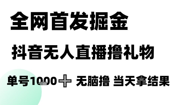 全网首发掘金抖音无人直播撸礼物，单号1k +无脑撸，当天拿结果【揭秘】-闲赋网