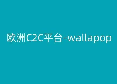 欧洲C2C平台-wallapop-kim跨境电商教程-闲赋网
