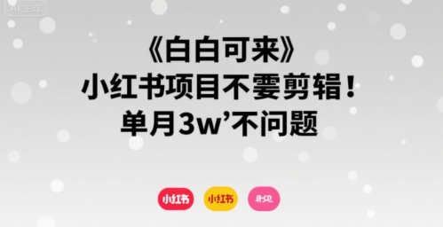 小白可来 小红书项目不需要剪辑 单月3w不是问题-闲赋网
