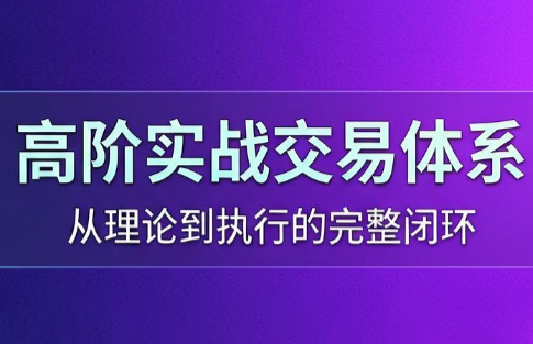 高老师·高阶实战交易体系(更新6月)-闲赋网