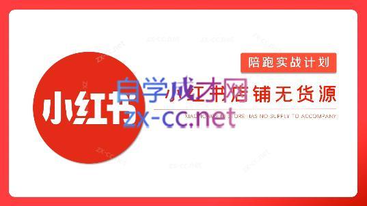 安琪·小红书店铺无货源-闲赋网