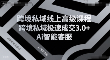 跨境私域线上高级课程，跨境私域极速成交3.0+Ai智能客服-闲赋网