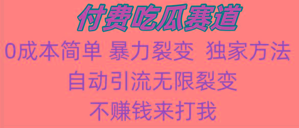 吃瓜付费赛道，暴力无限裂变，0成本，实测日入700+！！！-闲赋网