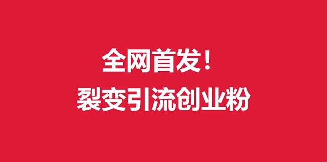 (全网首发)外面收费几千的裂变引流高质量创业粉-闲赋网