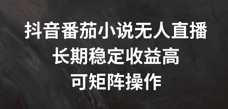 抖音番茄小说无人直播，长期稳定收益高，可矩阵操作【揭秘】-闲赋网