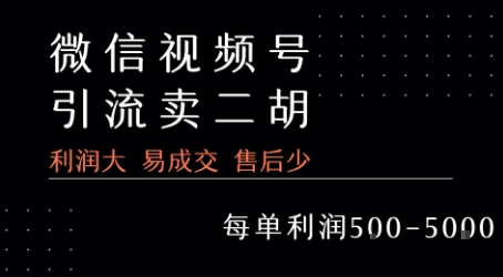视频号卖二胡教程，利润大 易成交 售后少，一单利润5张+-闲赋网