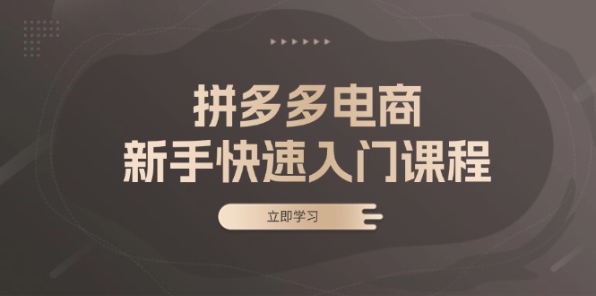 拼多多电商新手快速入门课程：涵盖基础、实战与选款，助力小白轻松上手-闲赋网