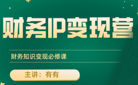 有有老师·财务IP变现营，财务知识变现必修课-闲赋网