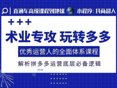术业专攻玩转多多，优秀运营人的全面体系课程，解析拼多多运营底层必备逻辑-闲赋网