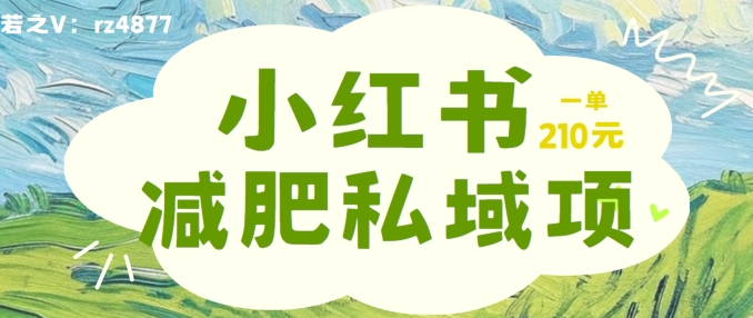 小红书减肥粉，私域变现项目，一单就达210元，小白也能轻松上手【揭秘】-闲赋网