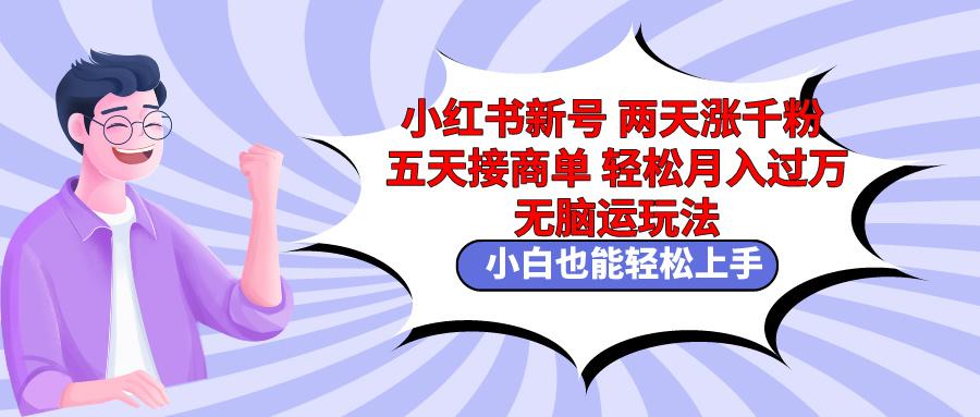 小红书新号两天涨千粉五天接商单轻松月入过万 无脑搬运玩法 小白也能轻…-闲赋网