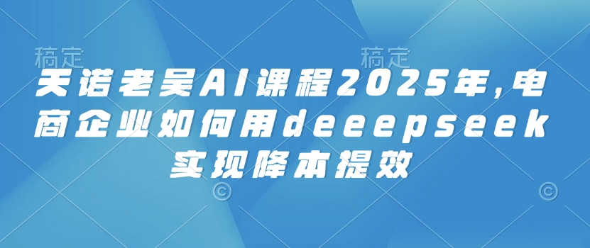 天诺老吴AI课程2025年，电商企业如何用deeepseek实现降本提效-闲赋网