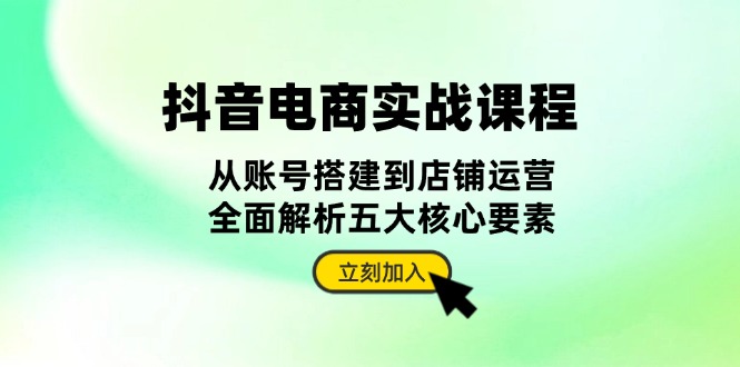 抖音 电商实战课程：从账号搭建到店铺运营，全面解析五大核心要素-闲赋网