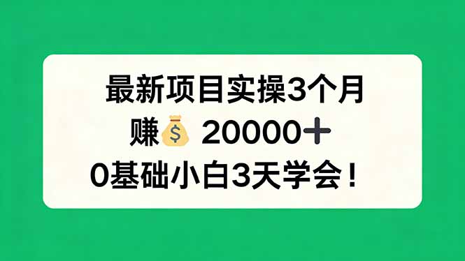 最新项目实操3个月，赚钱20000+，0基础小白3天学会！-闲赋网