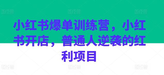 小红书爆单训练营，小红书开店，普通人逆袭的红利项目-闲赋网