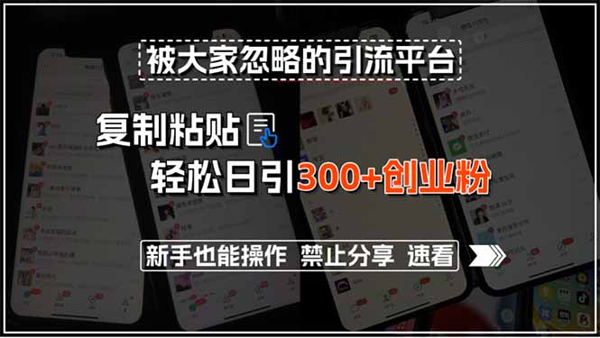 被大家忽略的引流平台，复制粘贴轻松日引300+创业粉，新手也能操作，禁…-闲赋网