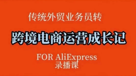 跨境电商速卖通运营课，​运营方法论+后台实操，逻辑清晰-闲赋网