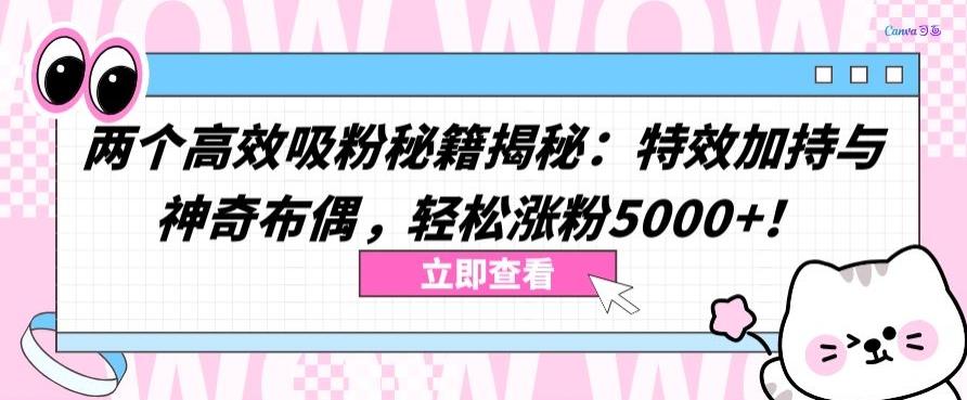 两个高效吸粉秘籍揭秘：特效加持与神奇布偶，轻松涨粉5000+【揭秘】-闲赋网
