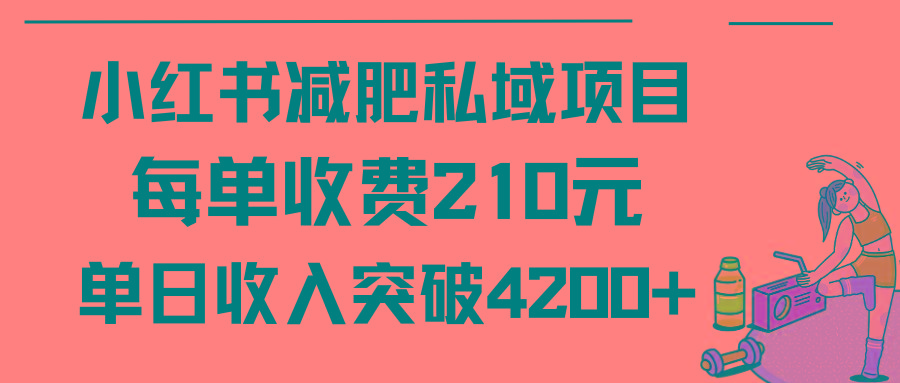 (9466期)小红书减肥私域项目每单收费210元单日成交20单，最高日入4200+-闲赋网