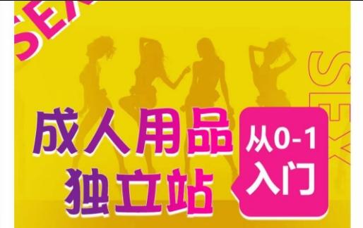 成人用品独立站从0-1入门，成品独立站运营全流程教学，七大好卖成品独立站推荐-闲赋网