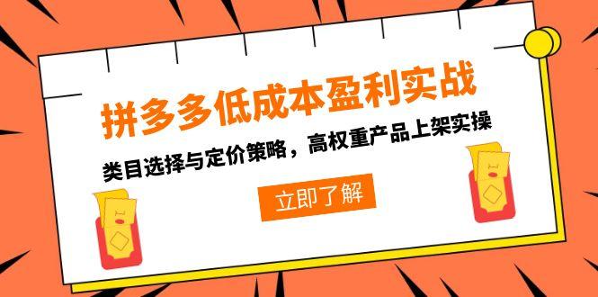 拼多多低成本盈利实战，类目选择与定价策略，高权重产品上架实操-闲赋网
