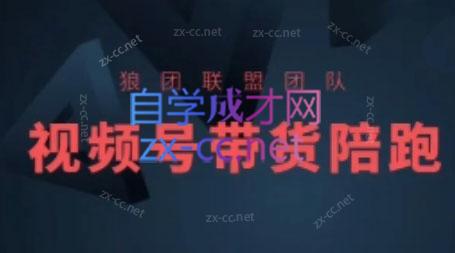 狼团联盟·2024视频号带货-闲赋网