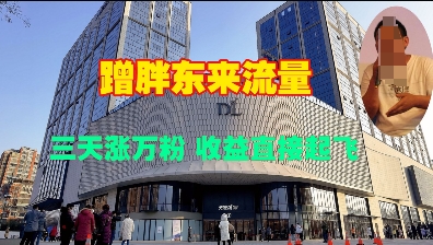 蹭胖东来流量，三天涨万粉，收益直接起飞-闲赋网