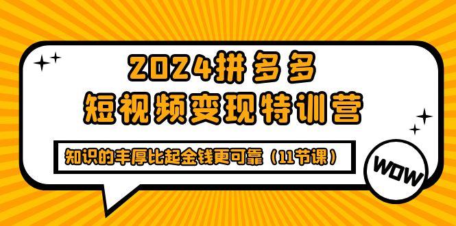 (9817期)2024拼多多短视频变现特训营，知识的丰厚比起金钱更可靠(11节课)-闲赋网