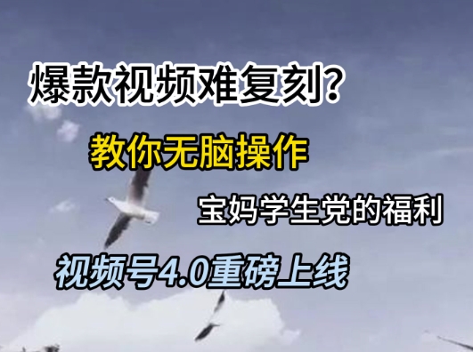 视频号4.0重磅上线，爆款视频难复刻？教你无脑操作宝妈学生党的福利【揭秘】-闲赋网